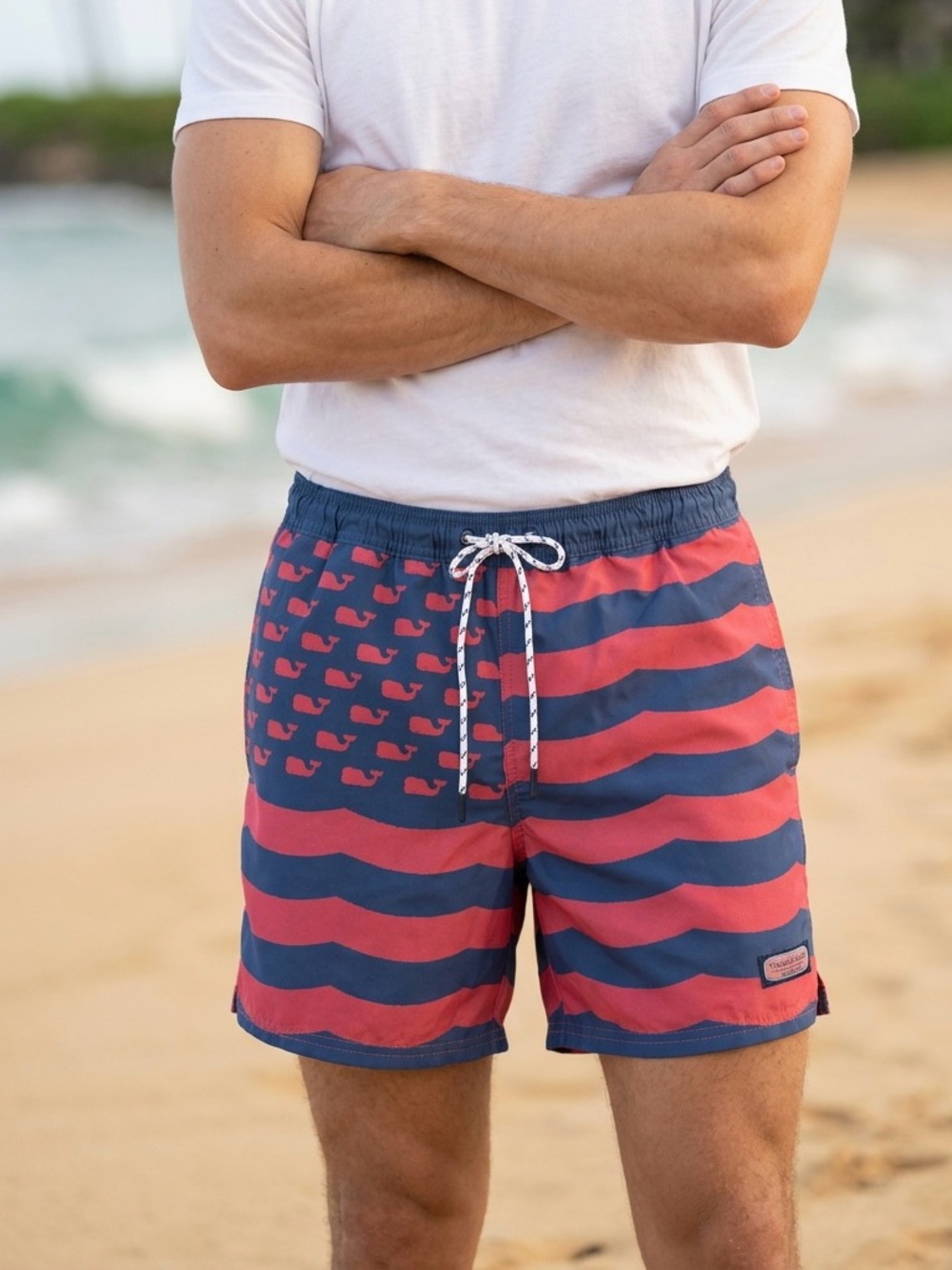 Vineyard Vines Americana Flag Whale Chappy Swim Trunks